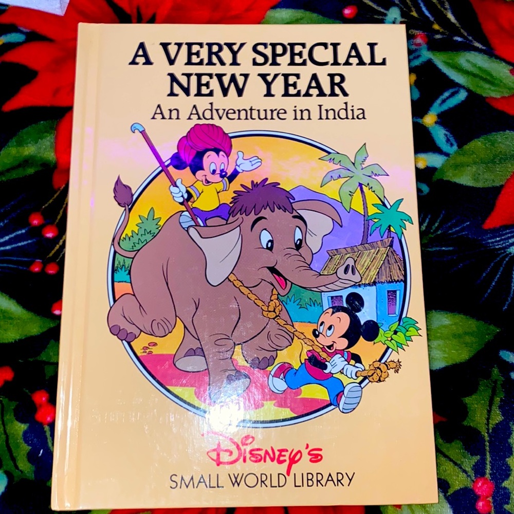 A very special new year an adventure in India disney book